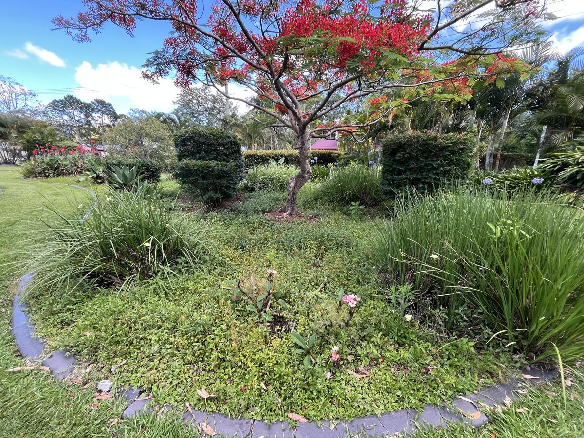 Freshly mulched garden bed