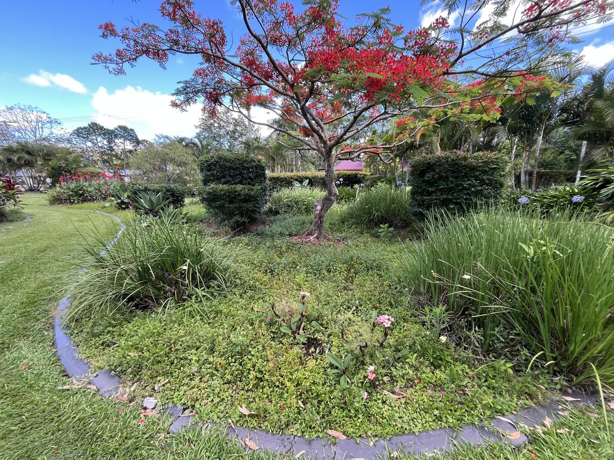 Lush green lawn